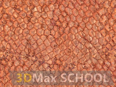 Бесшовные текстуры кожи змеи, крокодила, динозавра (рептилии) - 26